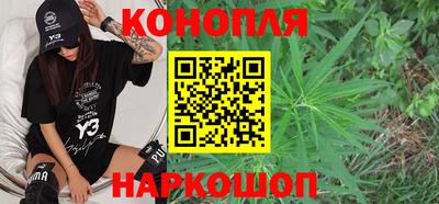 прущие грибы Бузулук