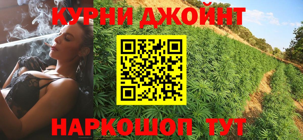Конопля сатива  МАРИХУАНА планчик  Петрозаводск  Канабис семена  Вход с VPN 